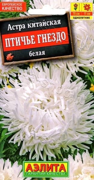 Астра Птичье гнездо белая /Аэлита/ 0,2г/ когот. 70см, d-11см