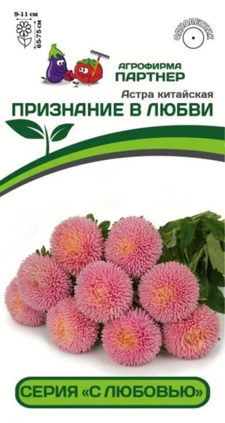 Астра китайская ПРИЗНАНИЕ В ЛЮБВИ (5шт)