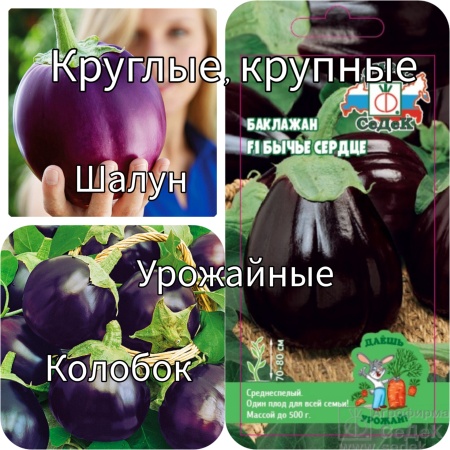  Огурец Директор F1 /Сотка/ 5шт/ партен. раннесп.Nuhnems фото в интернет-магазине Фермер