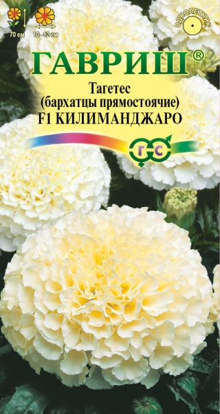 Бархатцы Килиманджаро белые /Гавриш/ 0,05г/ прям. 70см, d-12см