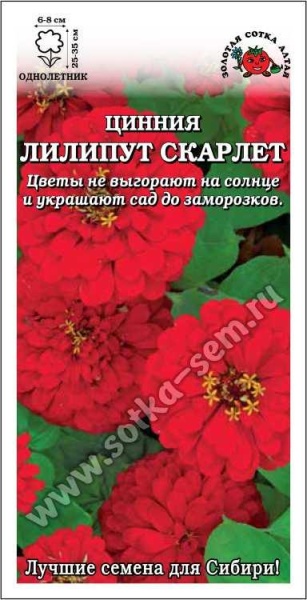 Цинния Лиллипут Скарлет /Сотка/ 0,2 г/ красн. h-35см, d-8см/*1000