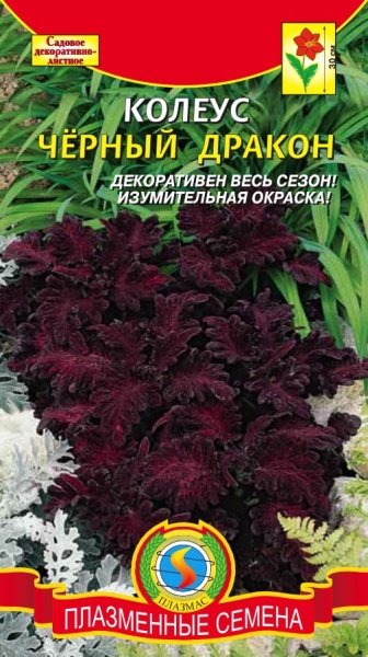 Колеус Черный дракон 10шт (Плазмас)/10