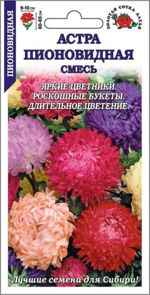 Астра Пионовидная смесь цветная /Сотка/ 0,2г/ h-60-65см d-9-10см
