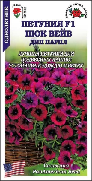 Петуния Шок вейв Дип пурпл F1 /Сотка/ 5 шт
