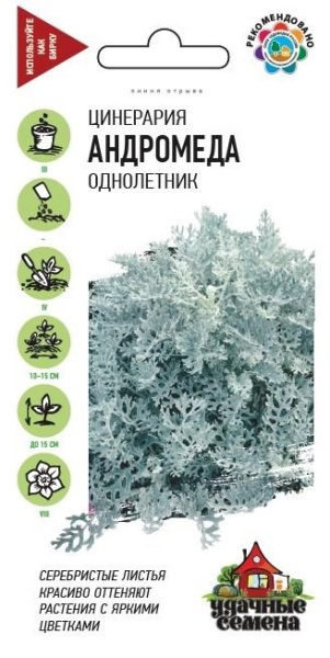 Цинерария Андромеда /Гавриш/ 0,1 г