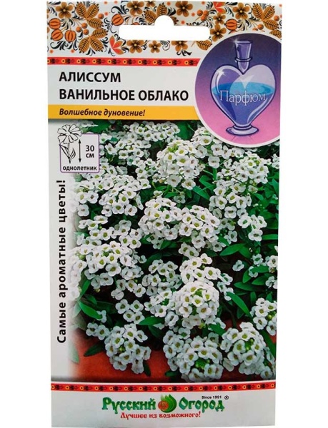 Алиссум Ванильное облако (0,1г) НК
