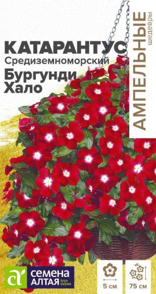 Цветы Катарантус Средиземноморский Бургунди Хало/Сем Алт/цп 7 шт. Ампельные Шедевры НОВИНКА (2027 / 7458)