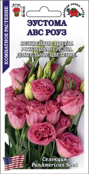 Ком: Эустома АВС Роуз /Сотка/ 5 шт/ махр. роз. h-110см d-7см PanAm/*500