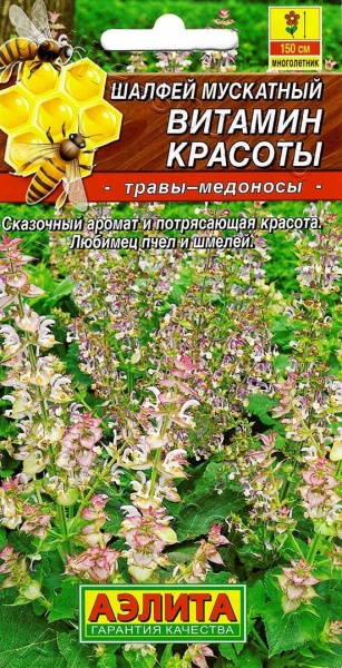 Шалфей Витамин красоты мускатный /Аэлита/ 0,2г/