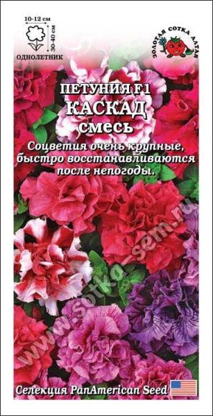 Петуния Каскад Махровая смесь F1 /Сотка/ 10шт/  h-30-40см d-10-12см PanAmerikan/*350