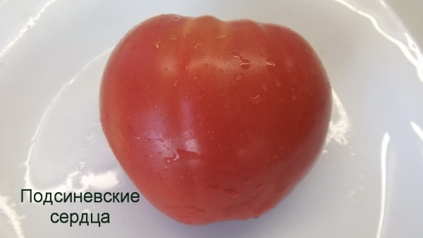 Томат Подсиневские сердца (минусинские)