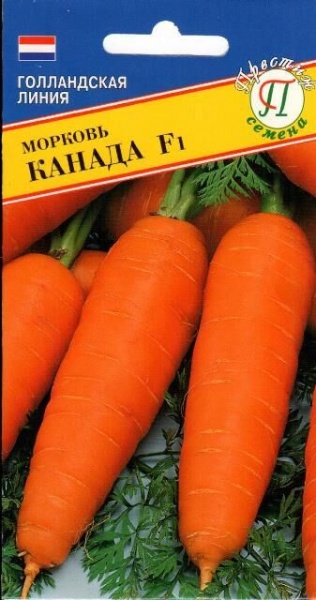 Морковь Канада F1 0,5гр (Престиж)