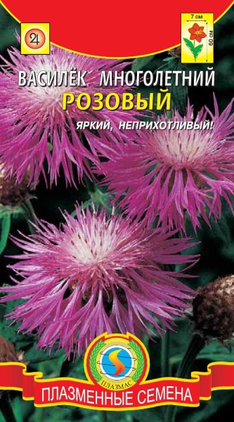 Василёк многолетний Розовый