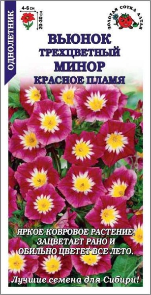 Вьюнок Минор Красное пламя /Сотка/ 0,5г/ трехцветн. h-20-30см d-4-6см /*900
