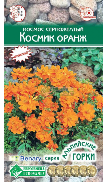 Космея Космик Оранж серножелтый (10 шт) Евросемена