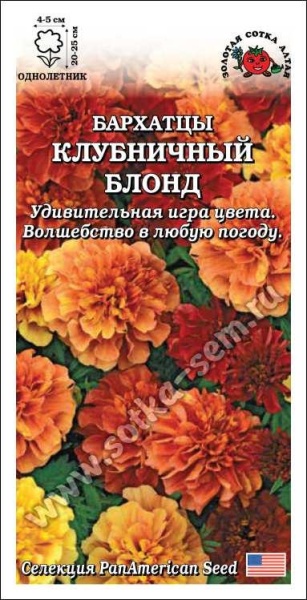 Бархатцы Клубничный блонд /Сотка/ 5шт/ откл. 25см,d-5см/*1500