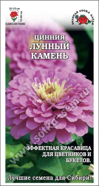 Цинния Лунный Камень /Сотка/ 0,2г/ лилов. h-80см, d-15см/*1200