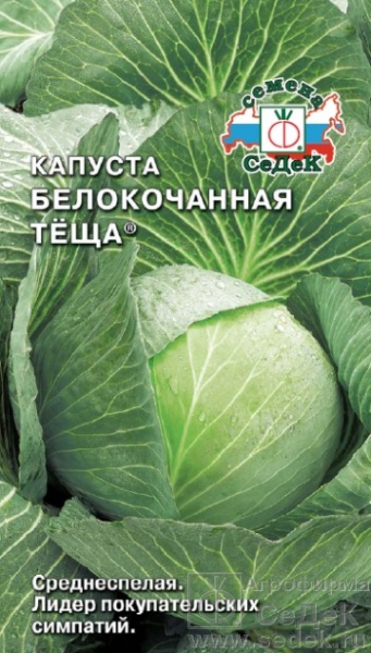 Капуста Теща /Седек/ 0,5 г/среднесп.2,5-3кг/