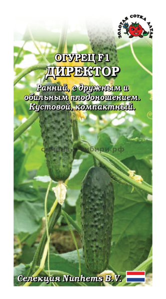 Огурец Директор F1 /Сотка/ 5шт/ партен. раннесп.Nuhnems