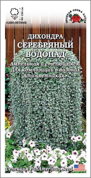 Дихондра Серебряный водопад /Сотка/ 3 шт