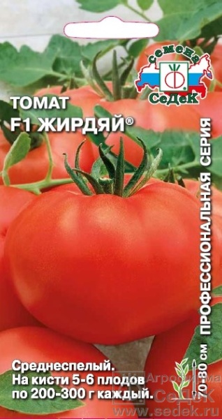 Томат Жирдяй F1 /Седек/ 0,05г/ среднесп. детерм. красн. 200-300г