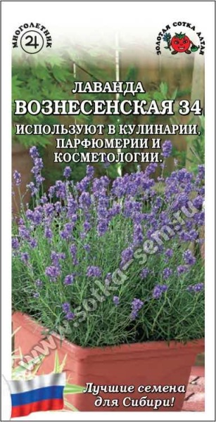 Лаванда Вознесенская  /Сотка/ 0,1г/ многолет. медонос/*1500
