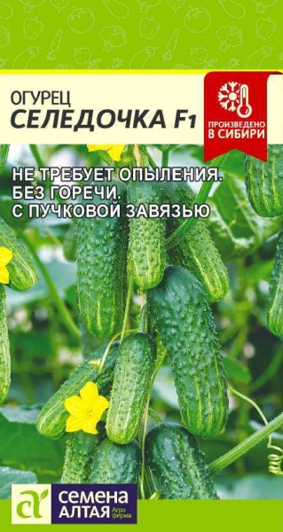 Огурец Селедочка F1/Сем Алт/цп 5 шт. (2029 / 7499)