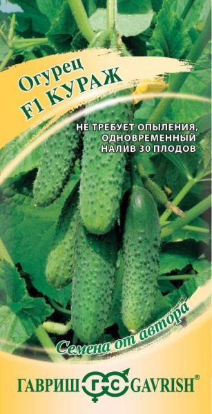 Огурец Кураж F1 10шт (Гавриш)