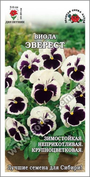 Виола Эверест /Сотка/ 0,05г/ белая с темн. центр h-15-20см d-5-6см