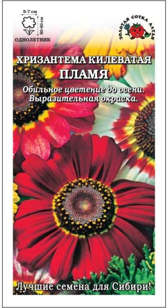 Хризантема Пламя килеватая /Сотка/ 0,1 г/*1100