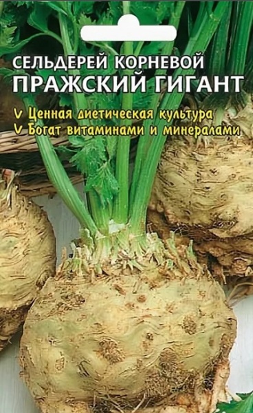 Сельдерей корневой Пражский гигант /Сотка/ 0,5г/ среднесп. 200-300г/*1300