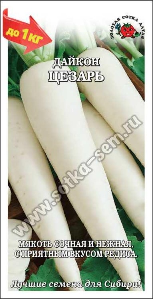 Дайкон Цезарь /Сотка/ 1 г/ среднеран. 30-40см/*800