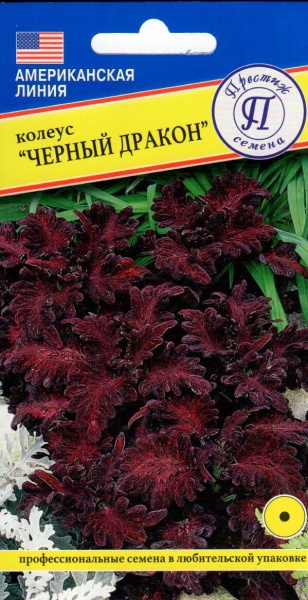 Колеус Черный дракон (10шт) Престиж