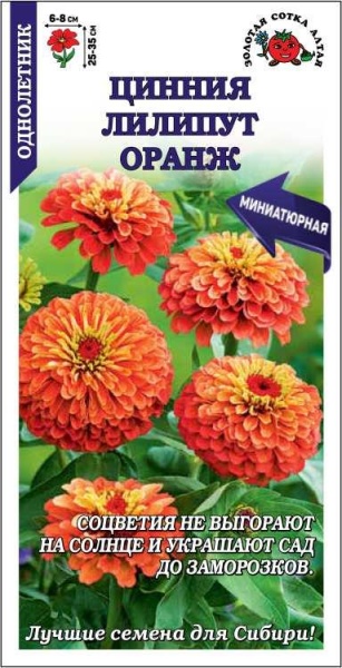 Цинния Лилипут Оранж /Сотка/ 0,2г/ h-25-35см d-6-8см /*1000
