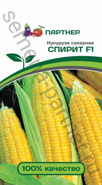 Партнер Кукуруза сахарная СПИРИТ F1 ^(3г)