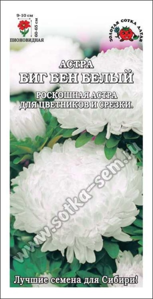 Астра Биг Бен белый /Сотка/ 0,2г/ пион. 65см, d-10см/*1500