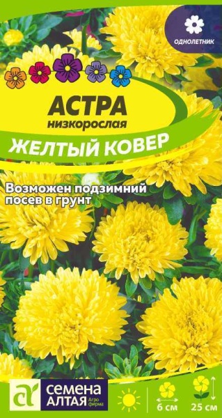 Астра Желтый Ковер низкорослая/Сем Алт/цп 0,2 гр. (2026 / 22294)
