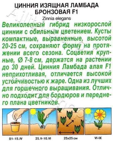  Цинния Ламбада бронзовая /Аэлита/ 0,2г/ изящ. h-25см, d-8см фото в интернет-магазине Фермер