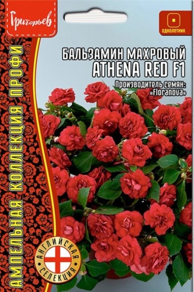 Бальзамин Athena Red F1 махровый амп. (5шт) Редкие овощи