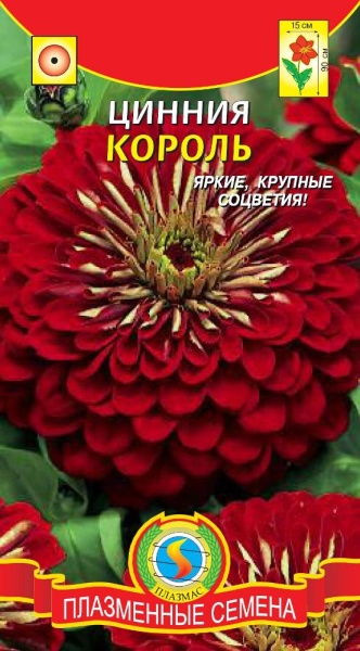 Цинния Король