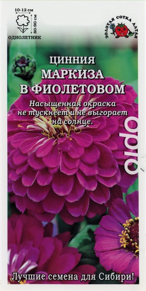 Цинния Маркиза в Фиолетовом /Сотка/ 0,3г/ h-90см, d-12см/*1200